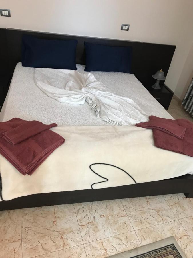 Maison Centre Szkodra Zewnętrze zdjęcie